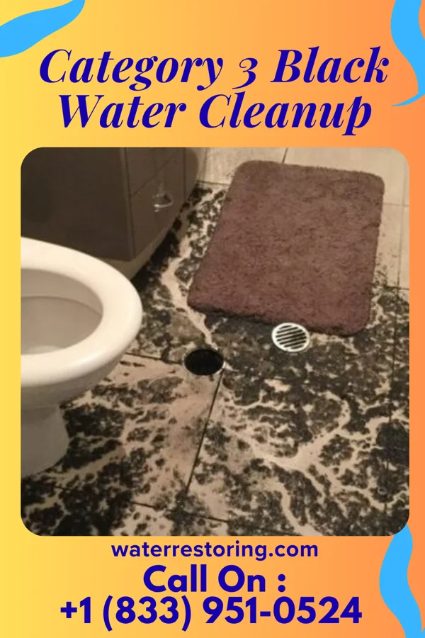 Category 3 Black Water Cleanup in Valley Brook, OK